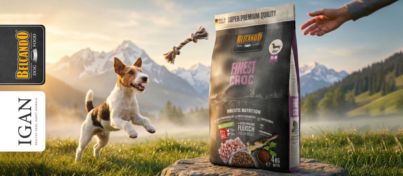 Описание изображения